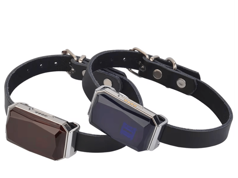 PulseTrack G12 Real Time GPS Tracker For Everyday Safety