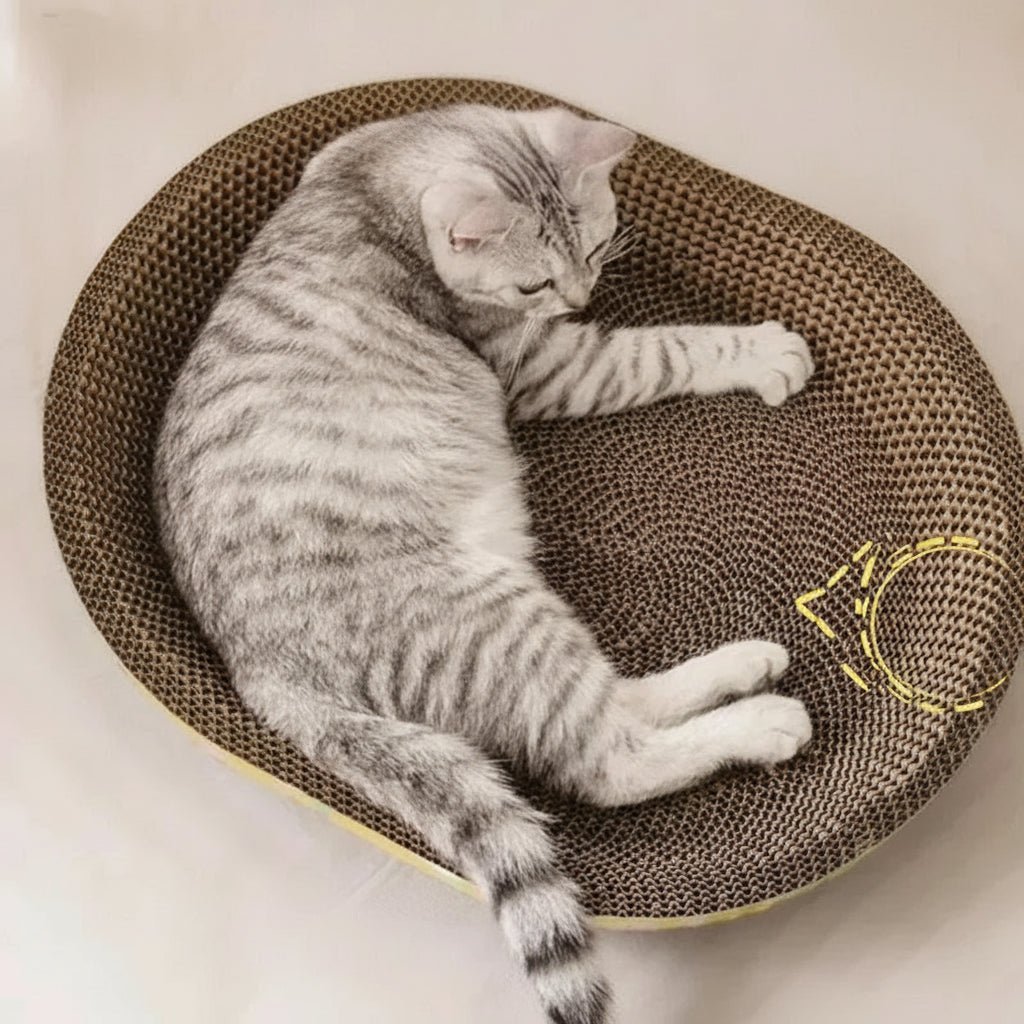 PawHaven Multifunctional Oval Scratching Board and Lounging Corrugated Cardboard Bed