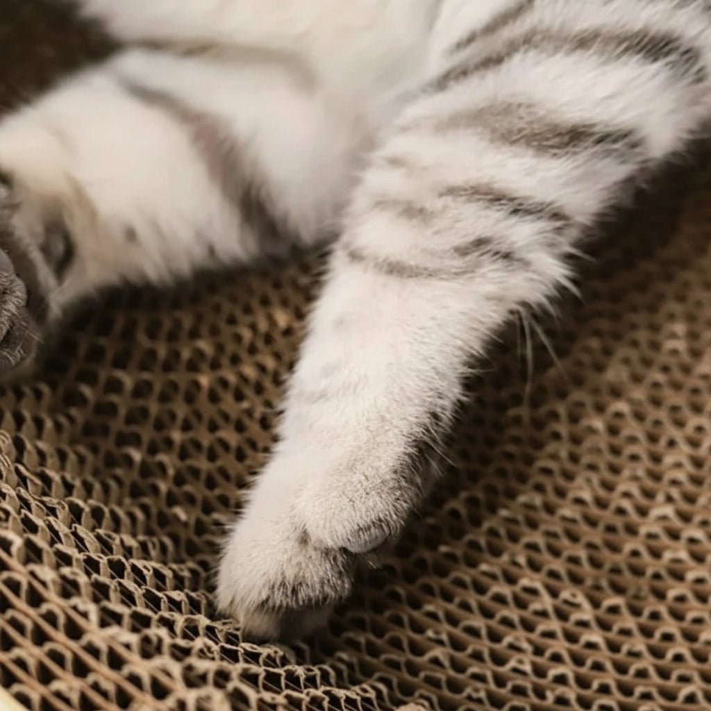 PawHaven Multifunctional Oval Scratching Board and Lounging Corrugated Cardboard Bed