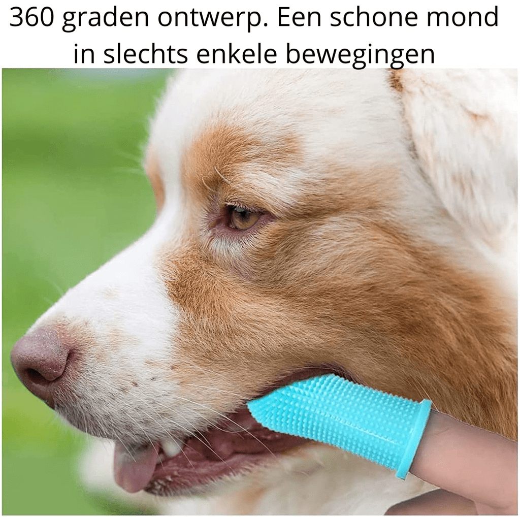 PawGuard 360 Silicone Finger Toothbrush For Safe Dog Dental Care