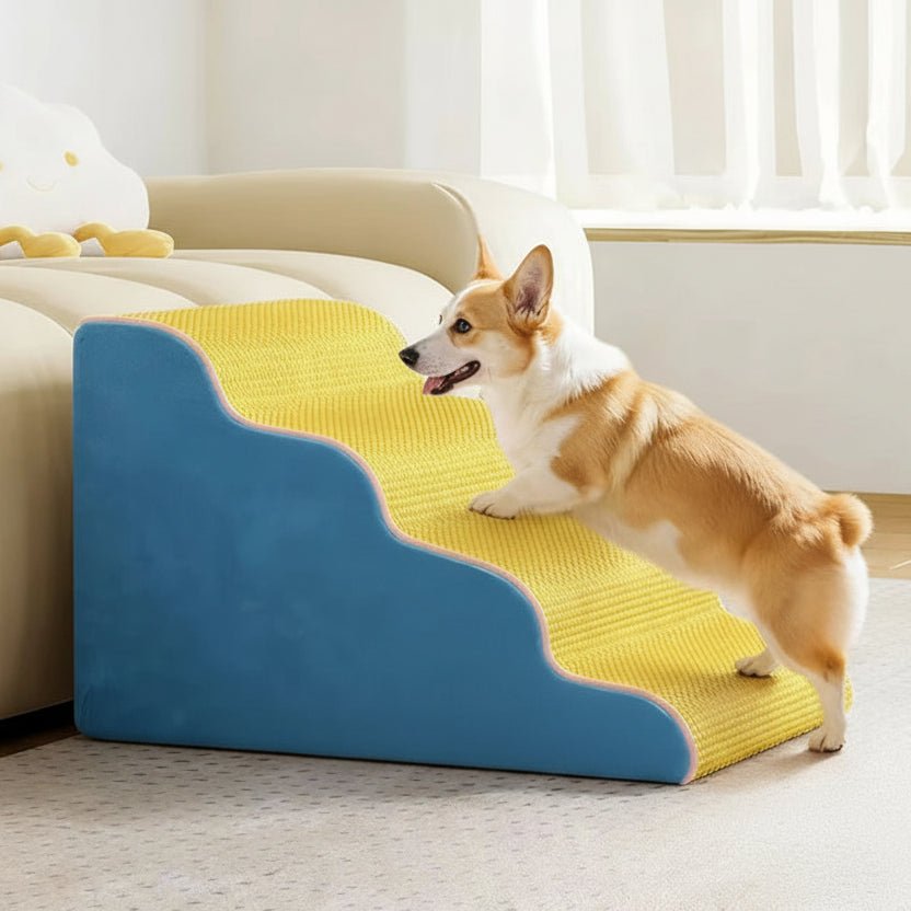 Rampa per Cani Elevia Premium in Memory Foam con Copertura Rimovibile