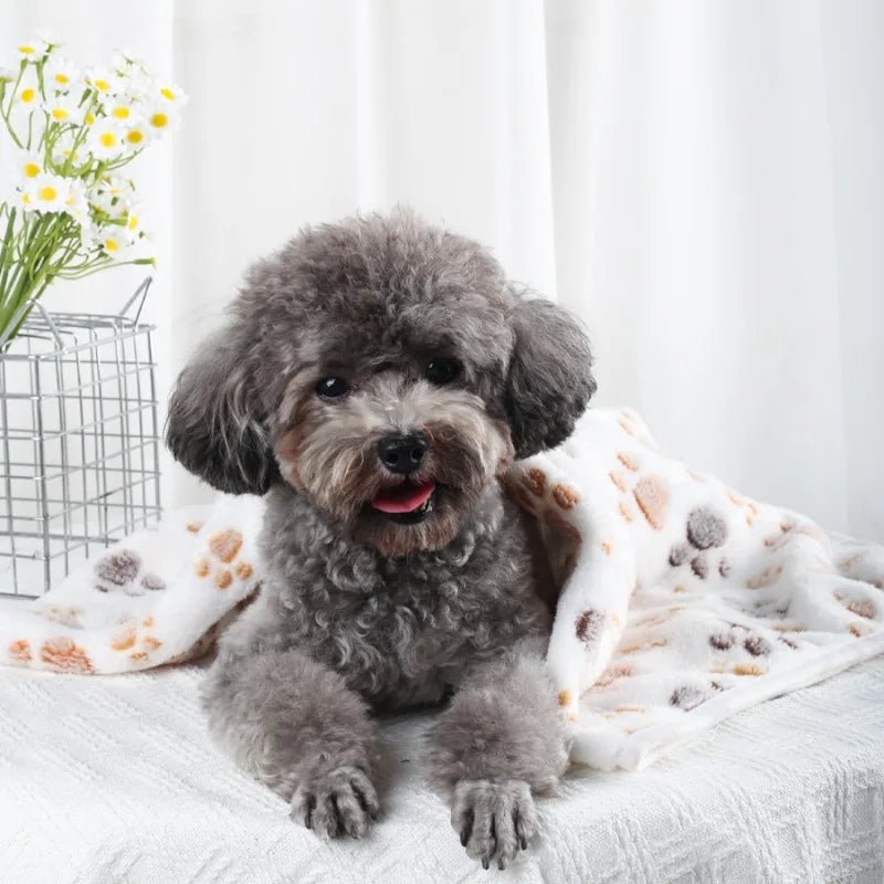 PawCloud Plyšová flanelová deka pro domácí mazlíčky s motivem tlapek, pohodlná a snadná na údržbu