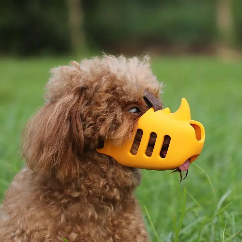 NovaPaw Adjustable Breathable Muzzle For Daily Comfort
