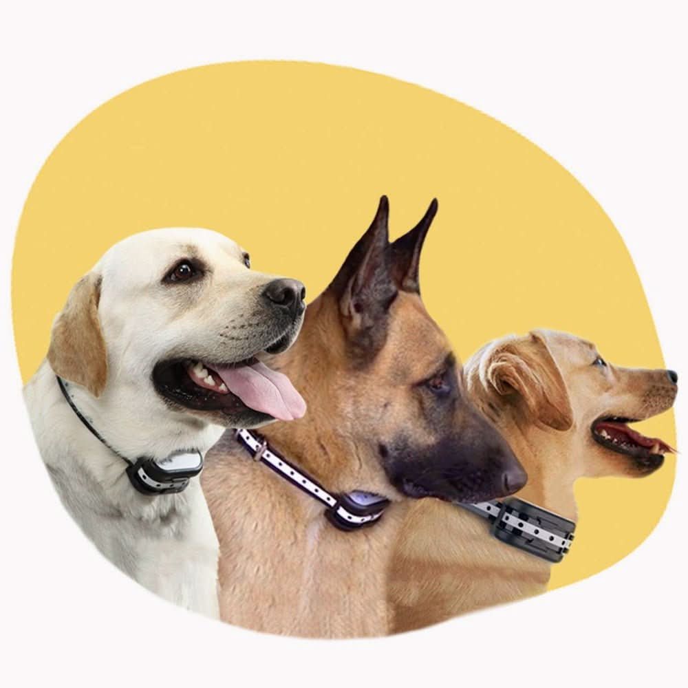 PawGuard 300 Wireless Dog Fence And Training Collar System