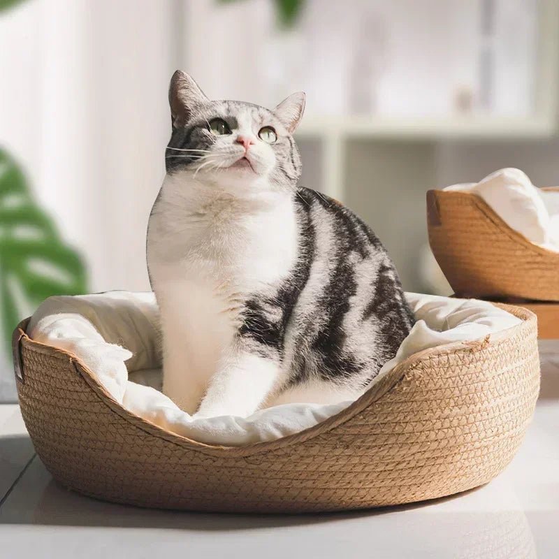 BambooNook Eco-Friendly Cat Sofa With Breathable Cotton Design