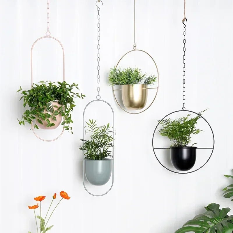 AeroNest Minimalist Wall Plant Hanger With Adjustable Chain For A Sleek Interior