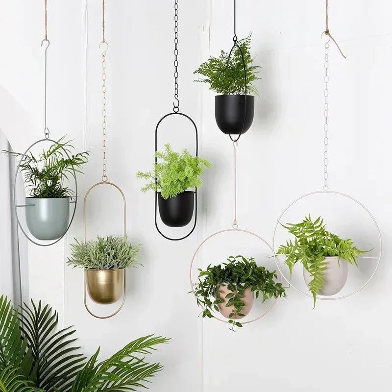 AeroNest Minimalist Wall Plant Hanger With Adjustable Chain For A Sleek Interior