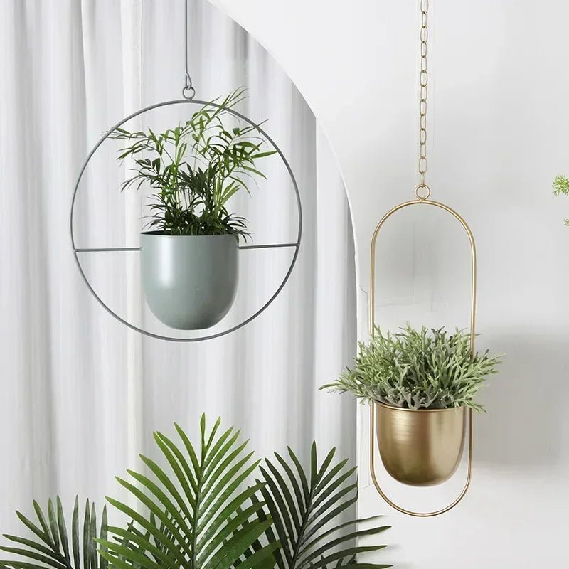AeroNest Minimalist Wall Plant Hanger With Adjustable Chain For A Sleek Interior