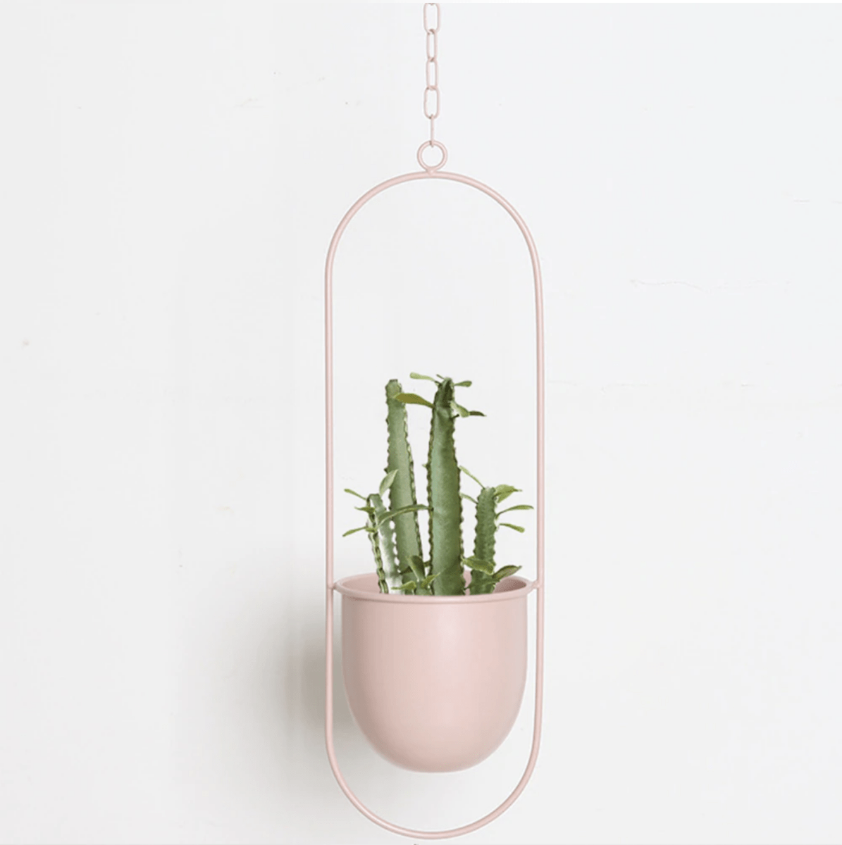 AeroNest Minimalist Wall Plant Hanger With Adjustable Chain For A Sleek Interior