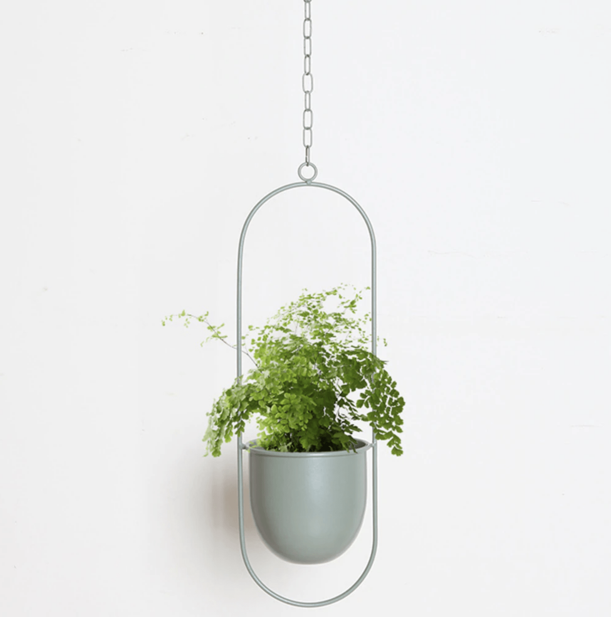 AeroNest Minimalist Wall Plant Hanger With Adjustable Chain For A Sleek Interior
