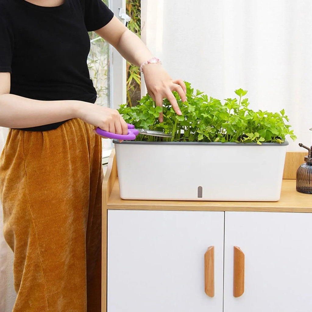 AquaNest Self-Watering Plant Container For Continuous Moisture Control