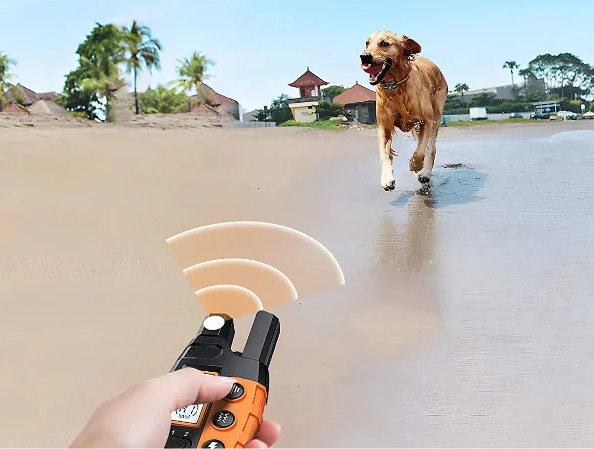 Remote Training Collar With 1000m Range For All Dog Sizes, Waterproof And Rechargeable