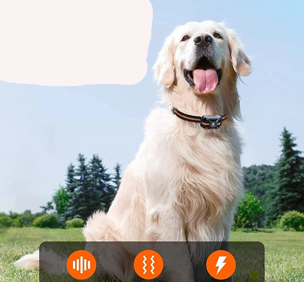 Remote Training Collar With 1000m Range For All Dog Sizes, Waterproof And Rechargeable