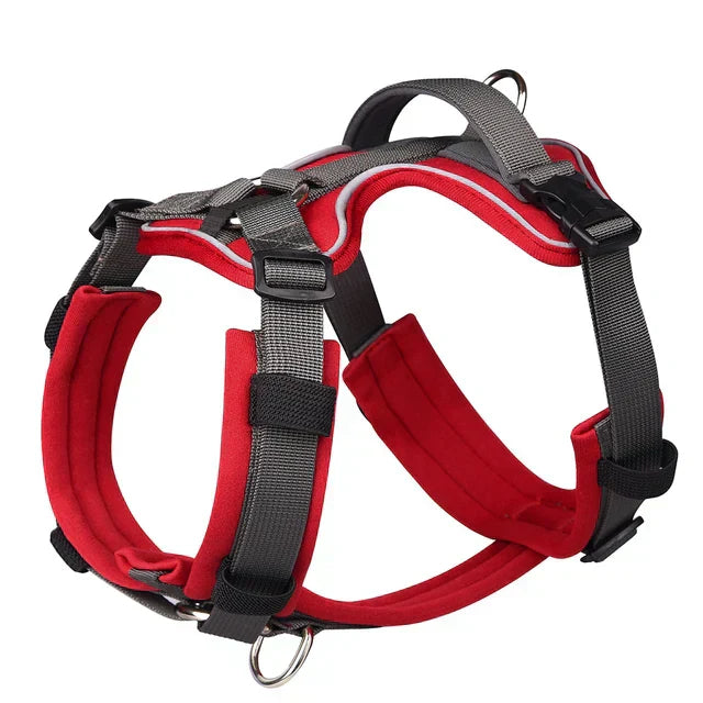 Kavaro Active Dog Harness With Reflective Trim And Sturdy Handle