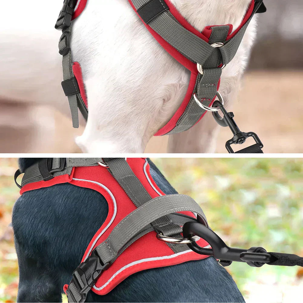 Kavaro Active Dog Harness With Reflective Trim And Sturdy Handle