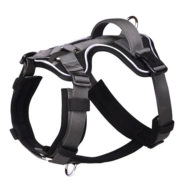 Kavaro Active Dog Harness With Reflective Trim And Sturdy Handle