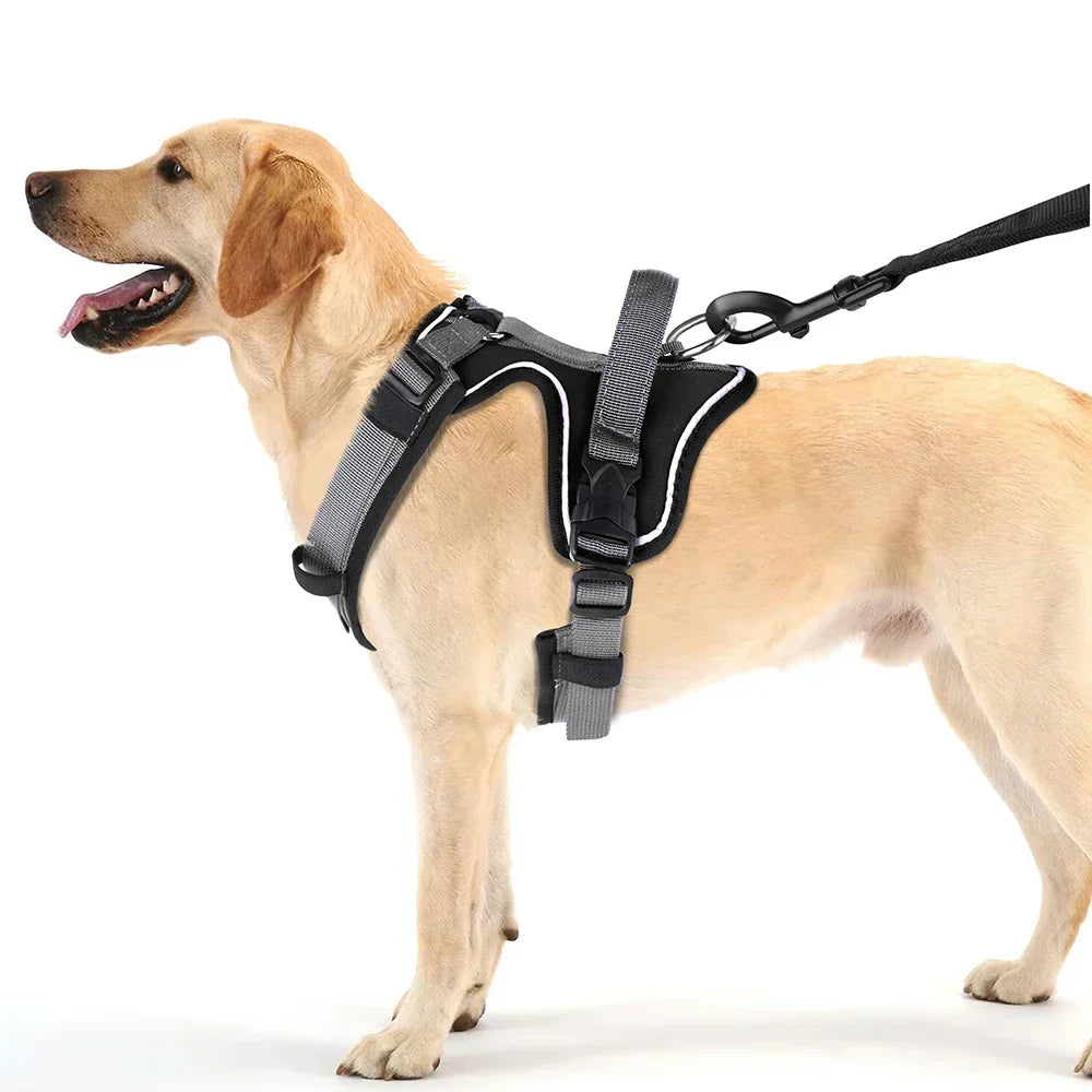 Kavaro Active Dog Harness With Reflective Trim And Sturdy Handle