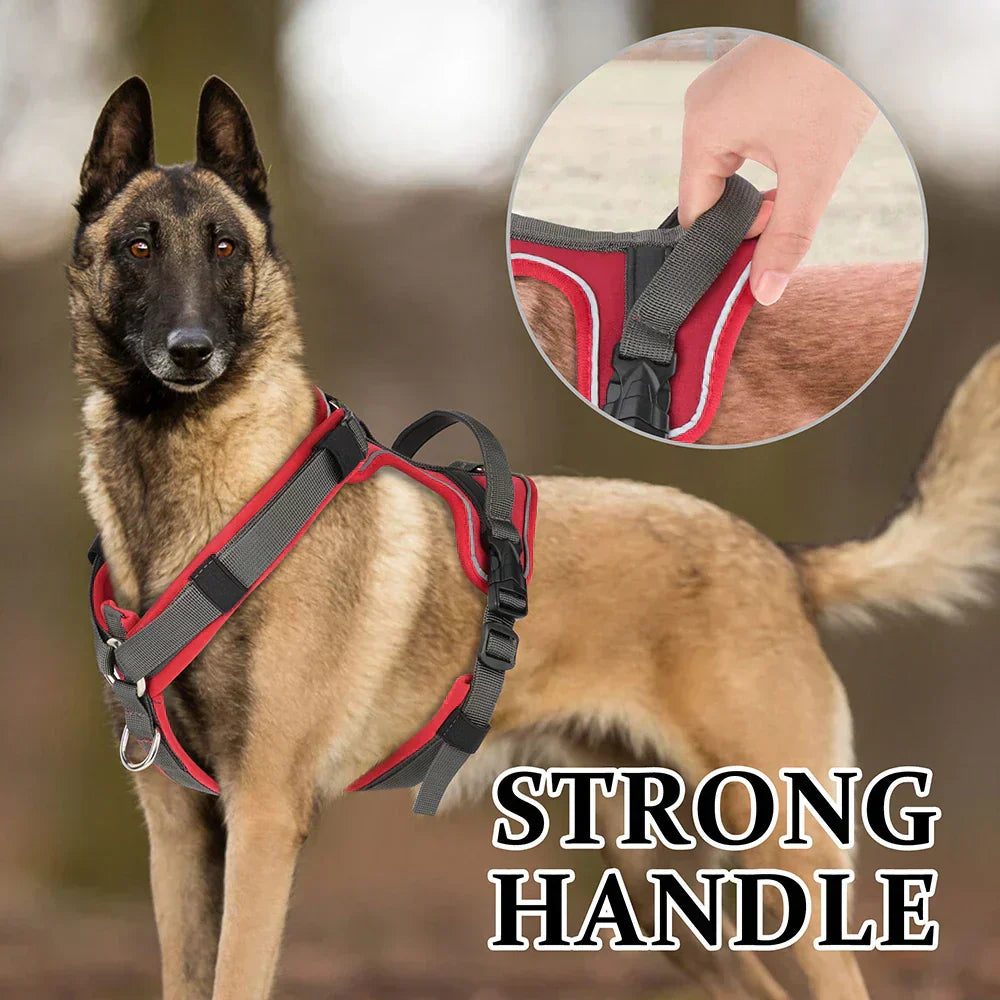 Kavaro Active Dog Harness With Reflective Trim And Sturdy Handle