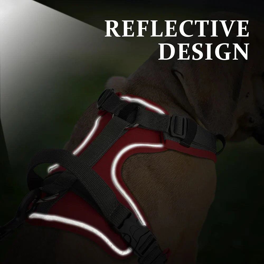Kavaro Active Dog Harness With Reflective Trim And Sturdy Handle