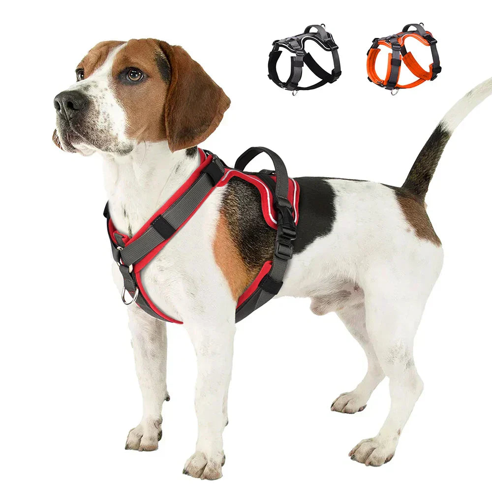 Kavaro Active Dog Harness With Reflective Trim And Sturdy Handle