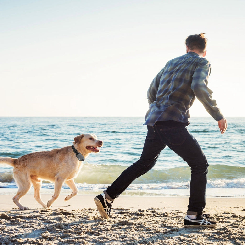 Pawfey GPS Pro Wireless Dog Fence System For Safe Boundary Control