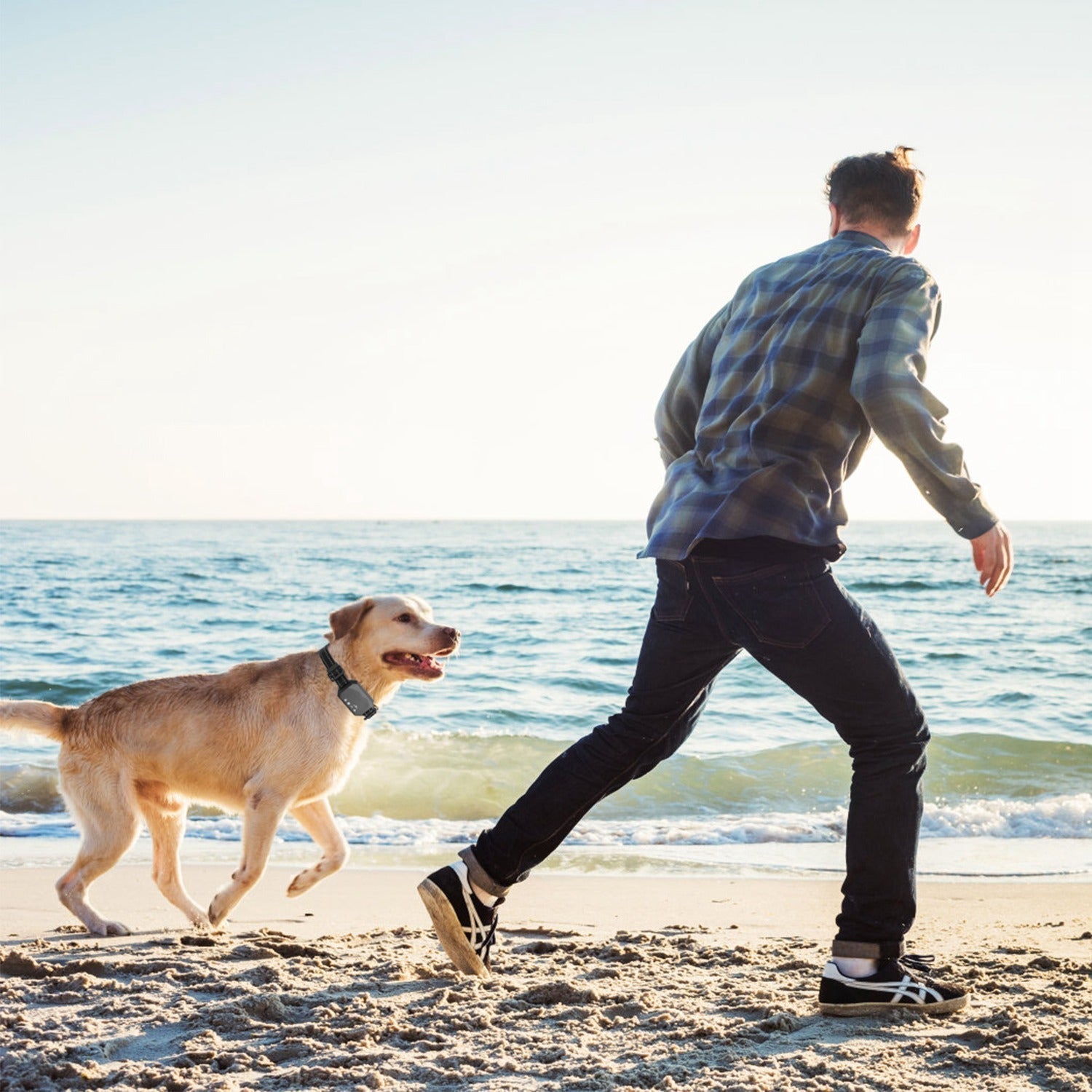 Pawfey GPS Pro Wireless Dog Fence System For Safe Boundary Control