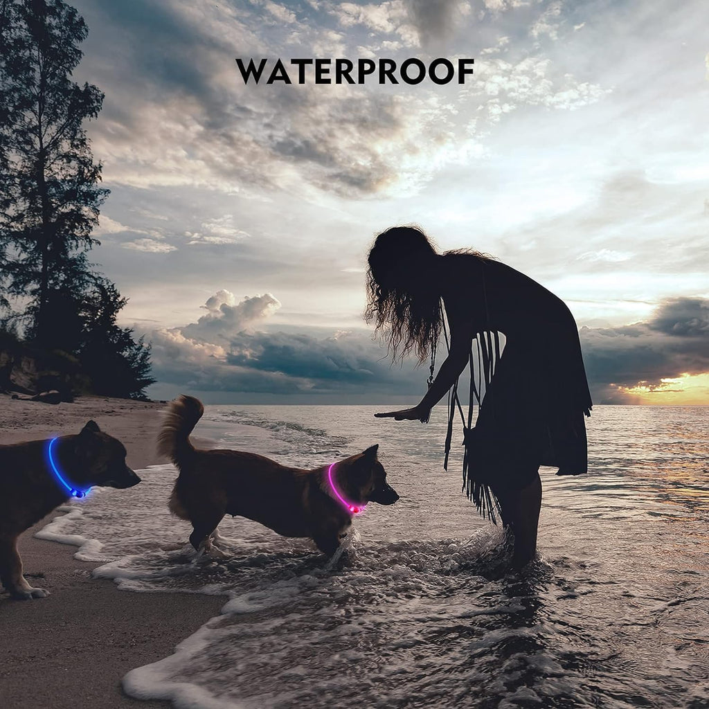 Rechargeable Lighted Dog Collar For Nighttime Walking And Safety