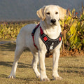 Kerrin Reflective No-Pull Dog Harness For Secure Comfortable Walks