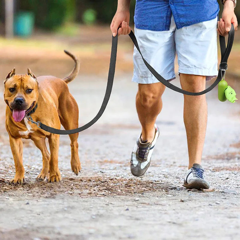 Reflective Leash For Dogs Featuring Strengthened Clasp Design
