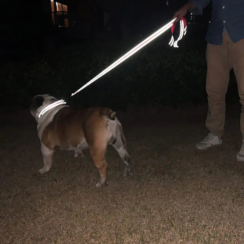 Reflective Leash For Dogs Featuring Strengthened Clasp Design