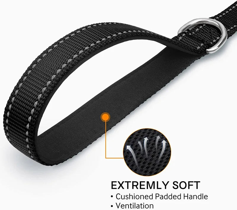 Reflective Leash For Dogs Featuring Strengthened Clasp Design