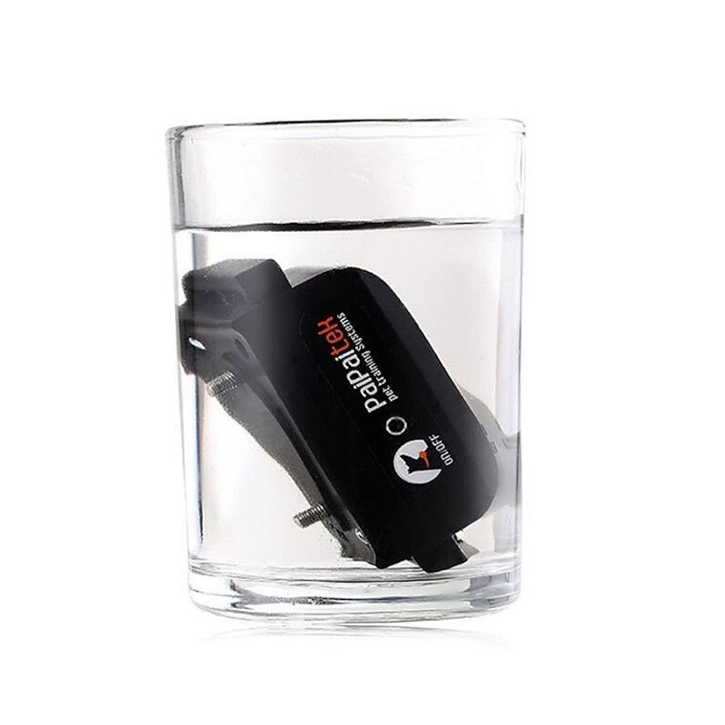 Training Collar For Dogs With 1000 Meter Range, Rechargeable And Waterproof