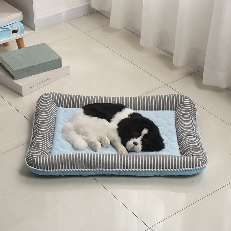 CoolPaw Cooling Pet Bed for Hot Days and Summer Comfort