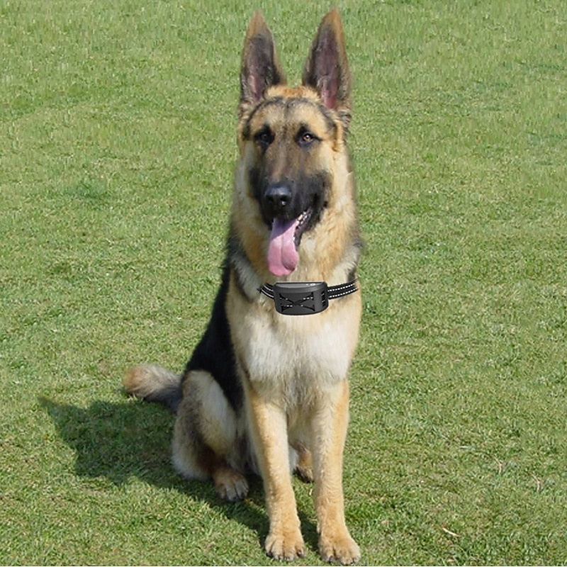 Adjustable Collar Enables A Wireless Fence System For Dogs 9 To 240 Meters Range