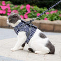 TrailQuest Cat Harness Vest for Safety and Comfort