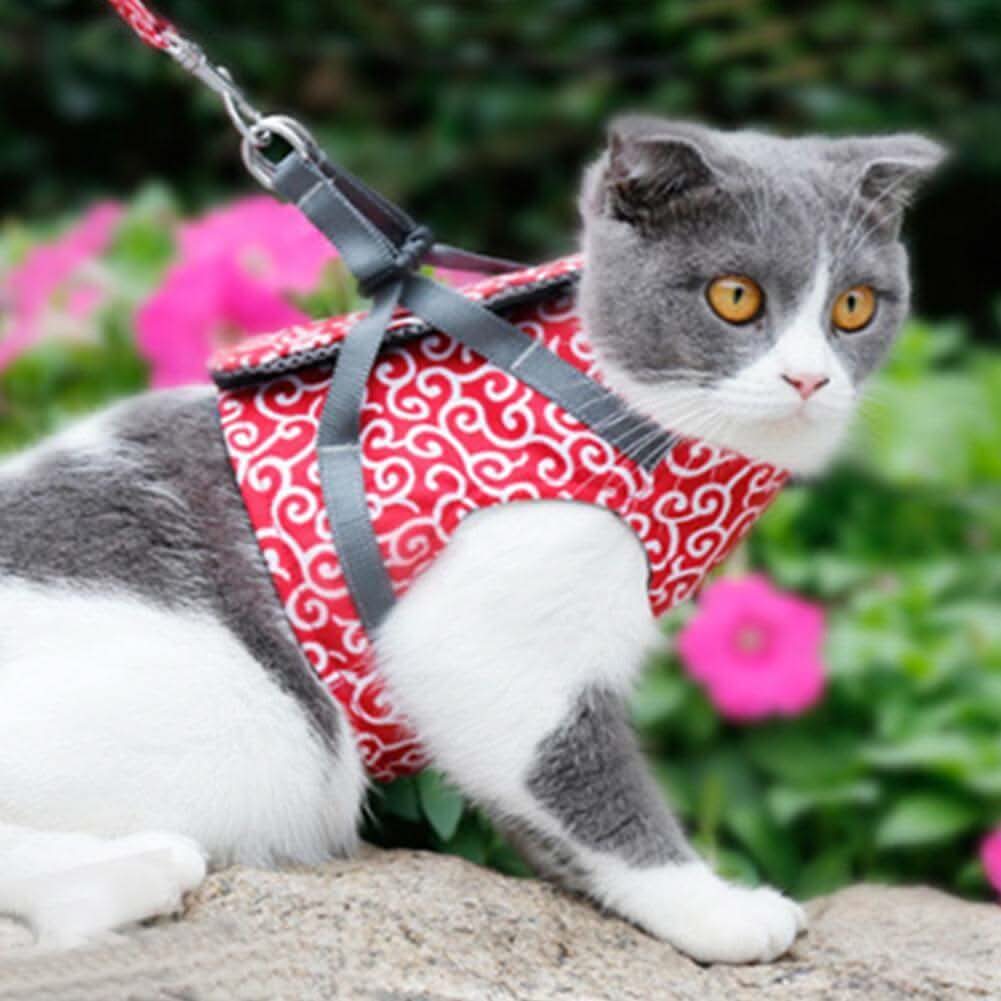 TrailQuest Cat Harness Vest for Safety and Comfort