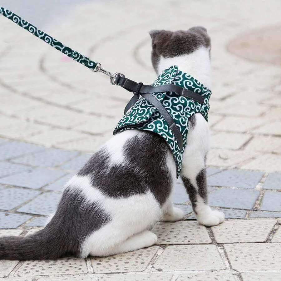 TrailQuest Cat Harness Vest for Safety and Comfort