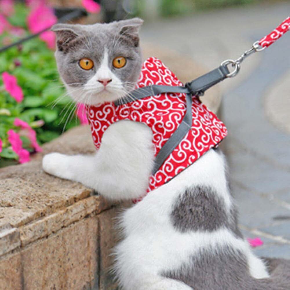 TrailQuest Cat Harness Vest for Safety and Comfort