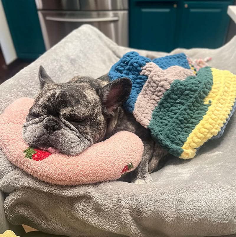 Coussin orthopédique de luxe SerenePaw pour chien, contre stress et anxiété