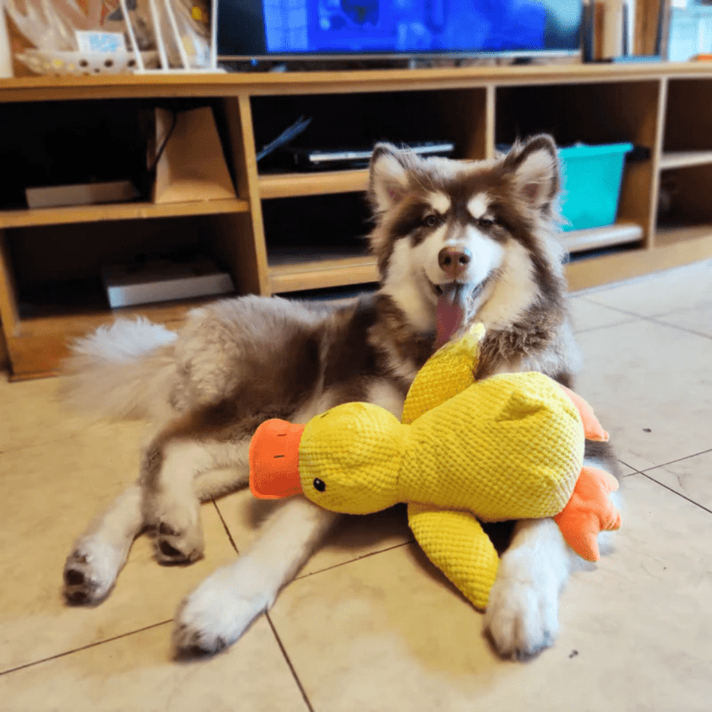 CozyBeak Plush Dog Toy With Soft Squeaky Duck Comfort