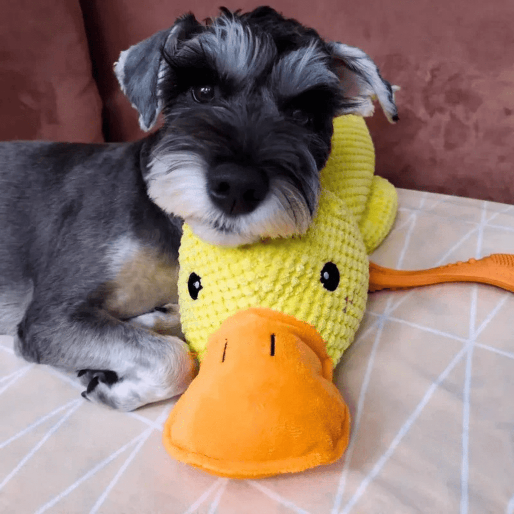 CozyBeak Plush Dog Toy With Soft Squeaky Duck Comfort