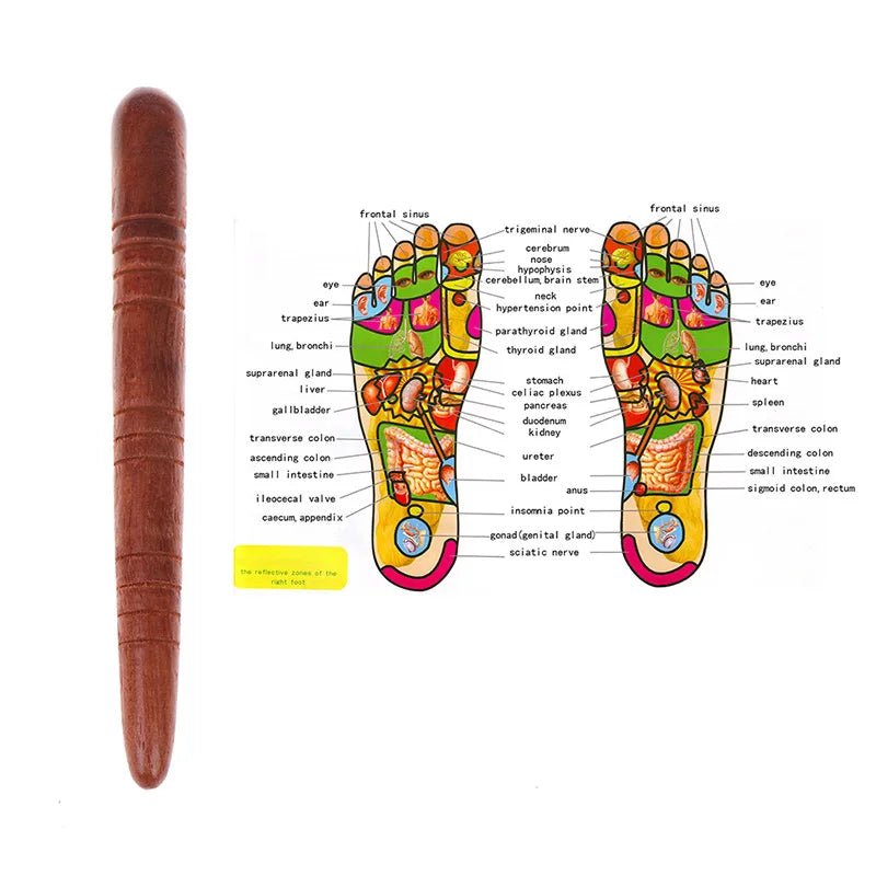 TimberPulse Natural Wood Acupuncture Massage Stick For Foot Reflex Zones And Meridian