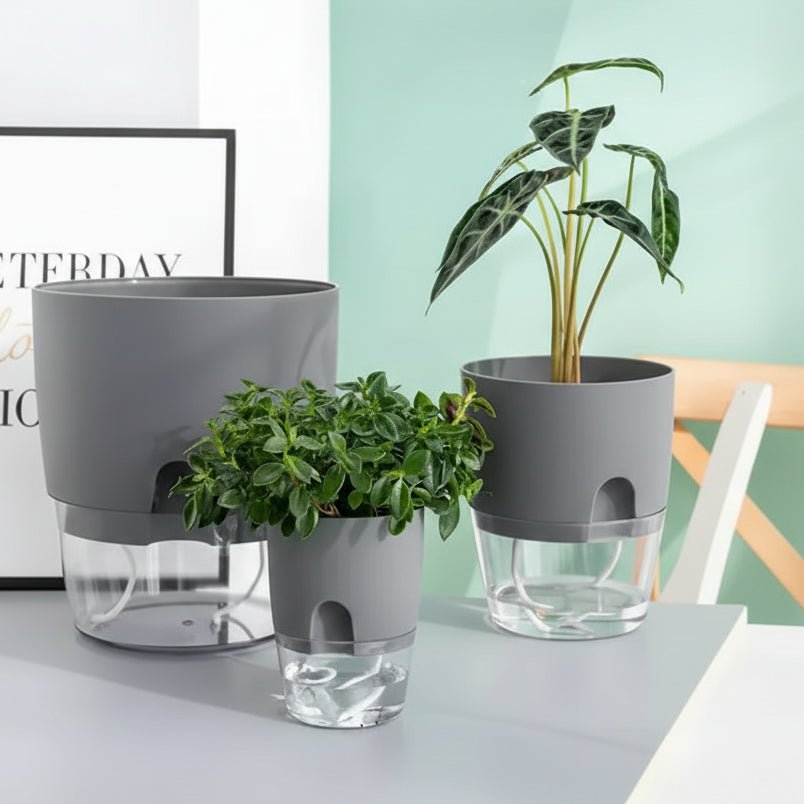 AeroLoft závěsný vnitřní květináč pro pěstování rostlin ve vodě šetřící místo