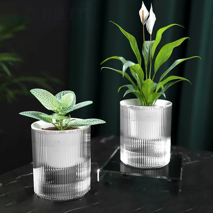 AquaNest Ghiveci Interior cu Udare Automată pentru Îngrijire Ușoară a Plantelor