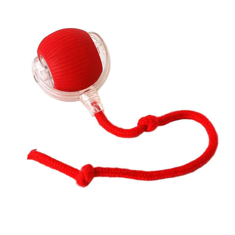 PawPulse Interactive Dog Ball - Rechargeable Bouncing Ball