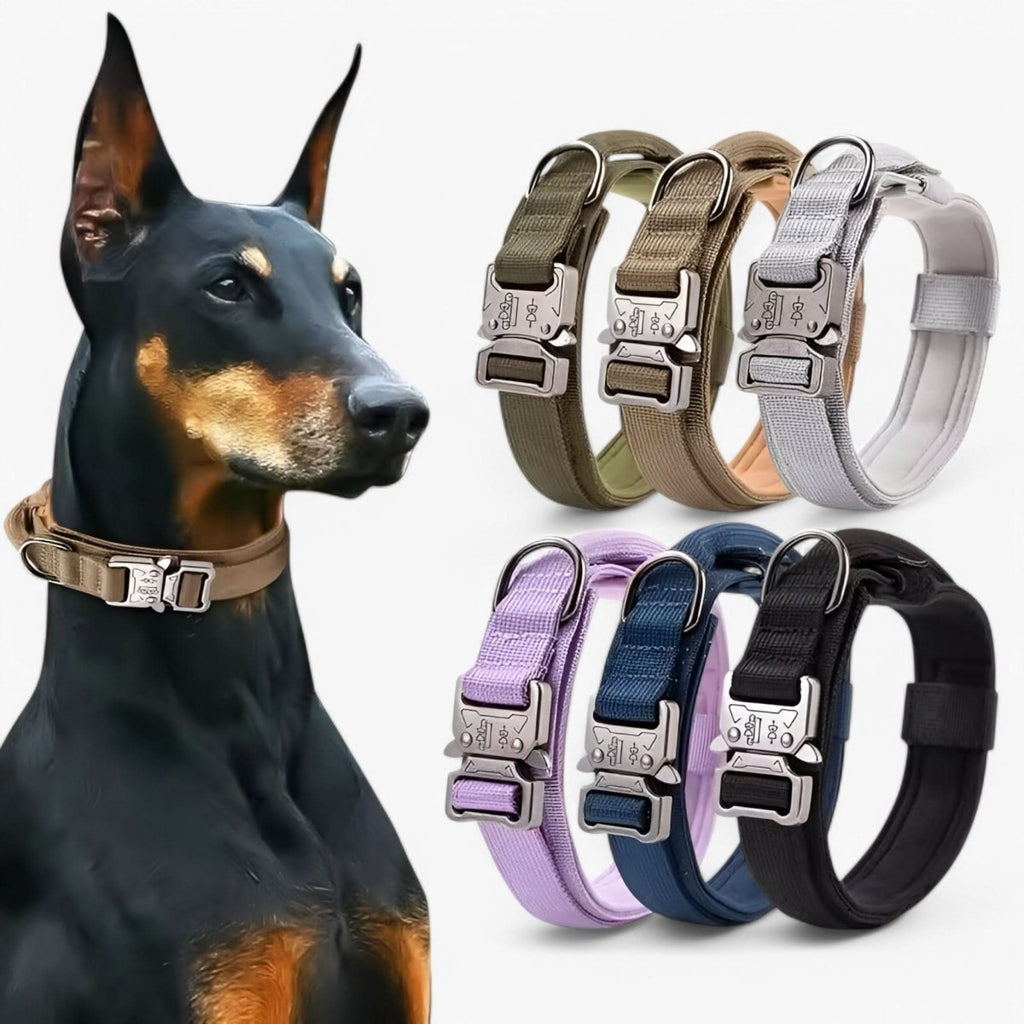 SummitPaws Sada obojků pro psy, odolná a nastavitelná pro výcvik i každodenní použití