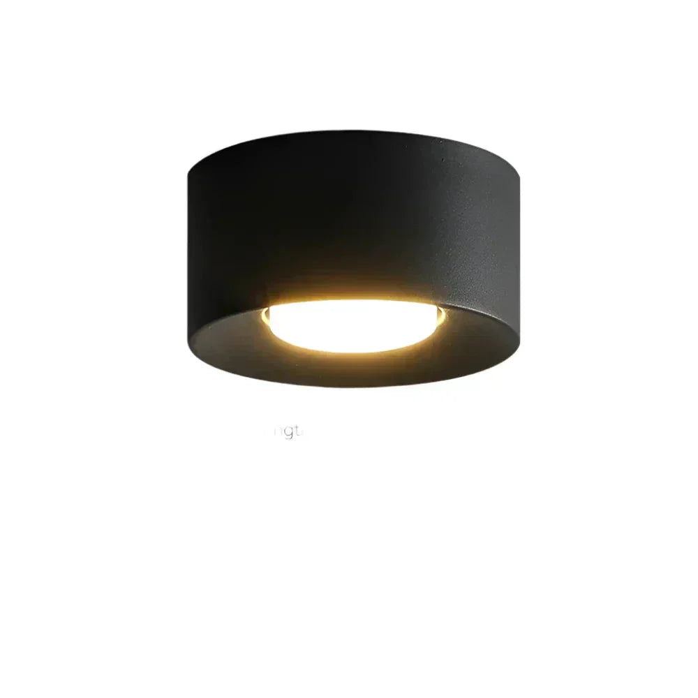 LyraNova Cylindrical LED Light Fixture For Modern Interiors