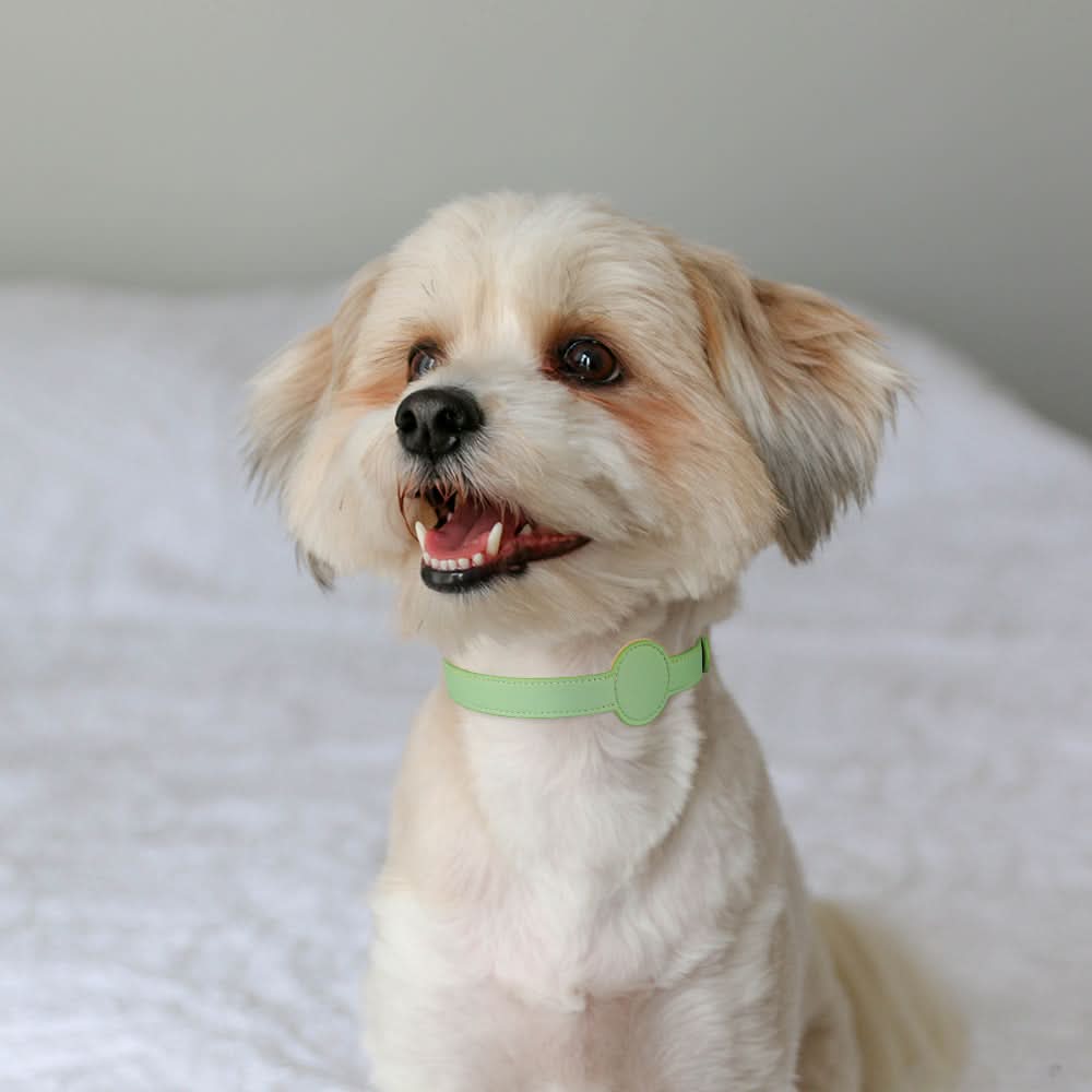PawGuard Collar With Integrated AirTag Holder for Safety and Style