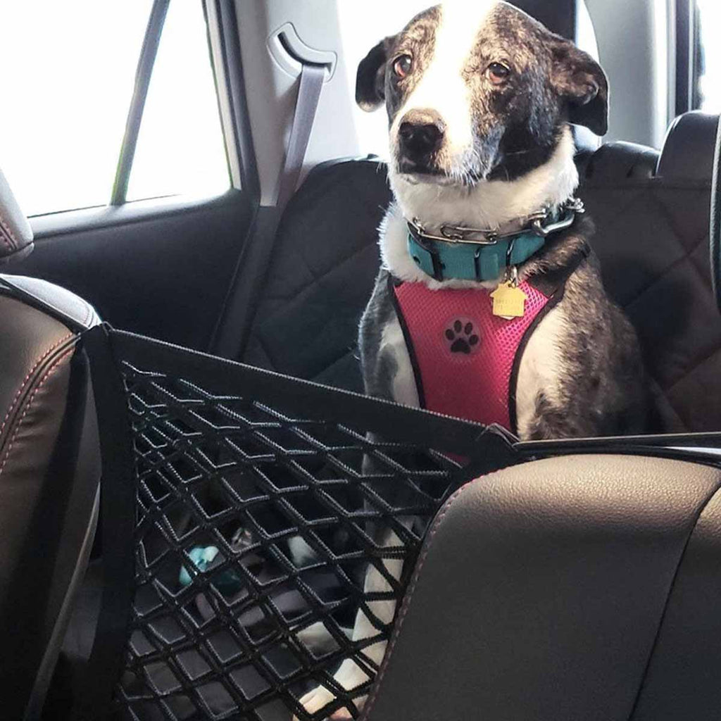 PetVoyage Ochranná síť do auta s vestavěným úložným prostorem pro mazlíčky