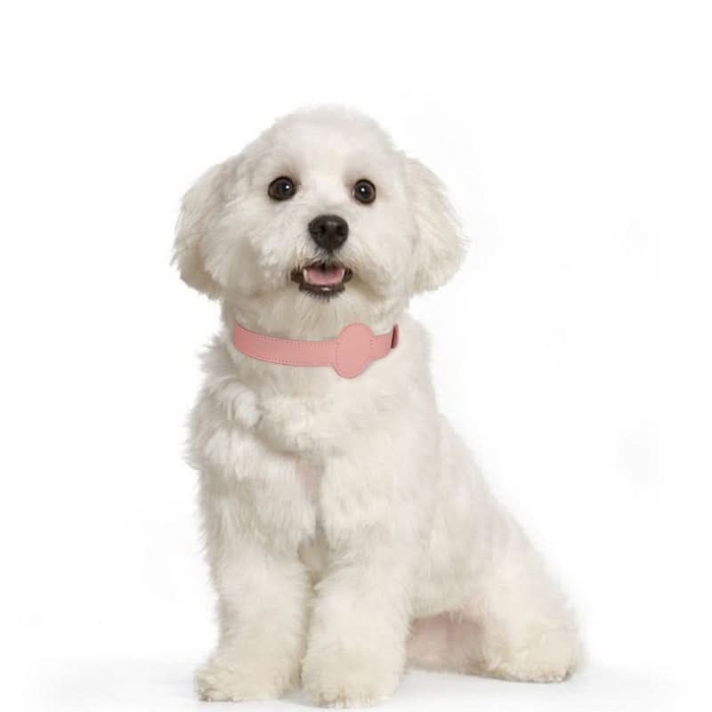 PawGuard Collar With Integrated AirTag Holder for Safety and Style